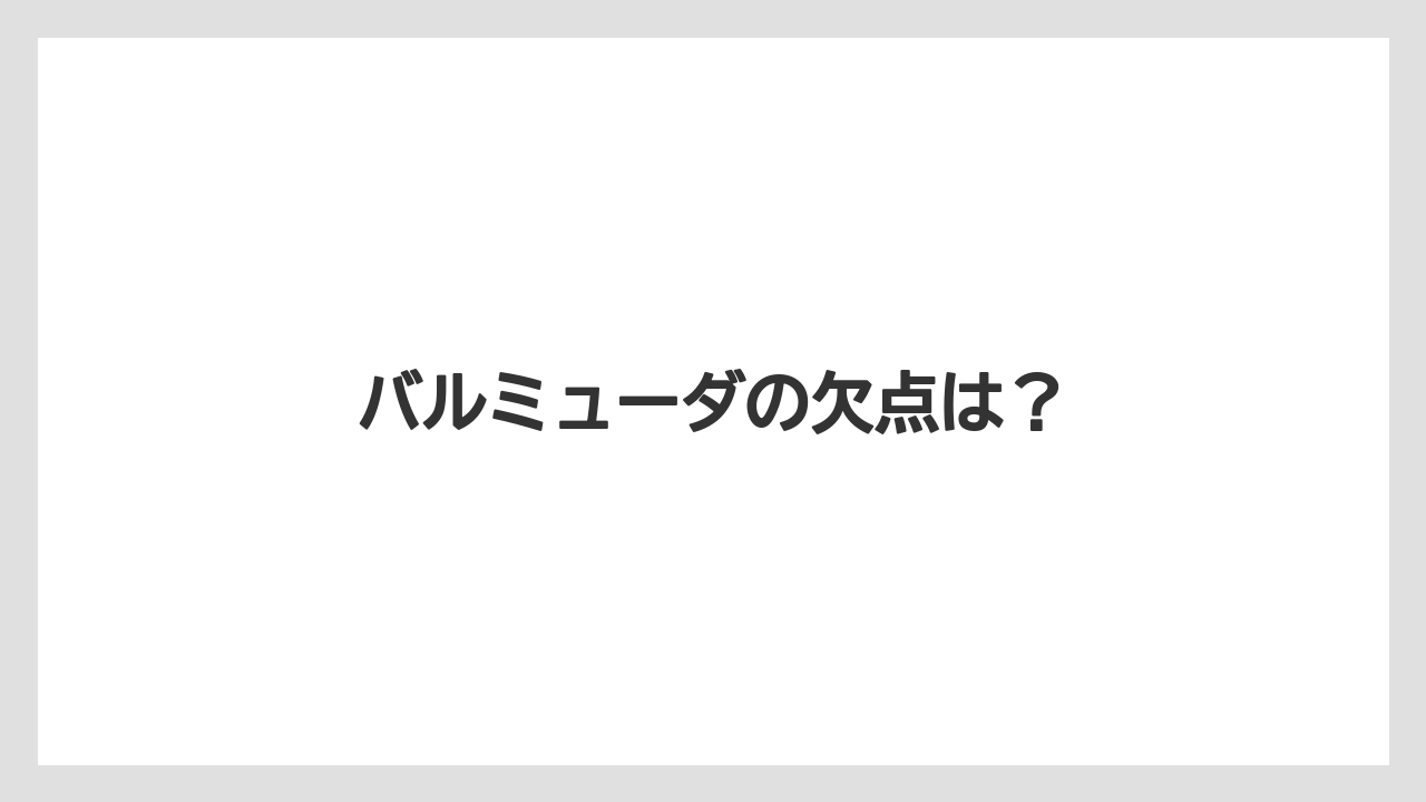バルミューダの欠点は?