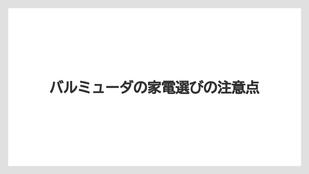 バルミューダの家電選びの注意点