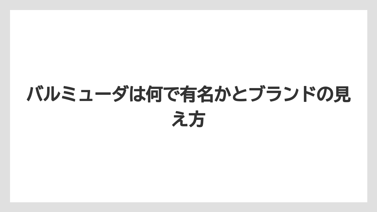 バルミューダは何で有名かとブランドの見え方