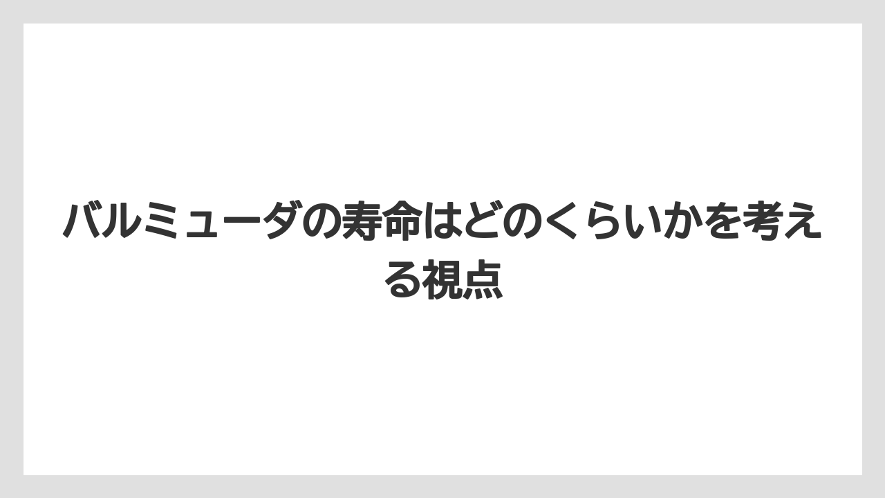 バルミューダの寿命はどのくらいかを考える視点