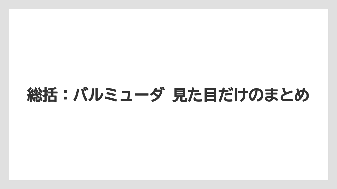 総括:バルミューダ 見た目だけのまとめ
