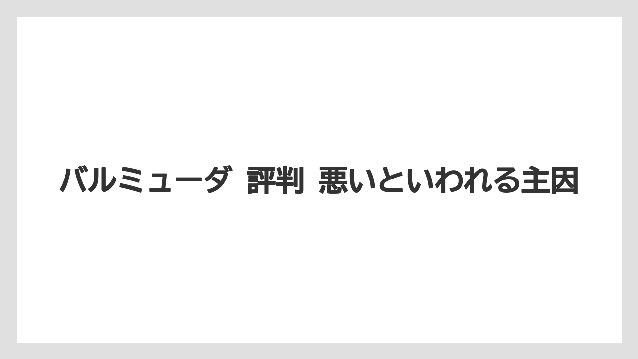 バルミューダ 評判 悪いといわれる主因