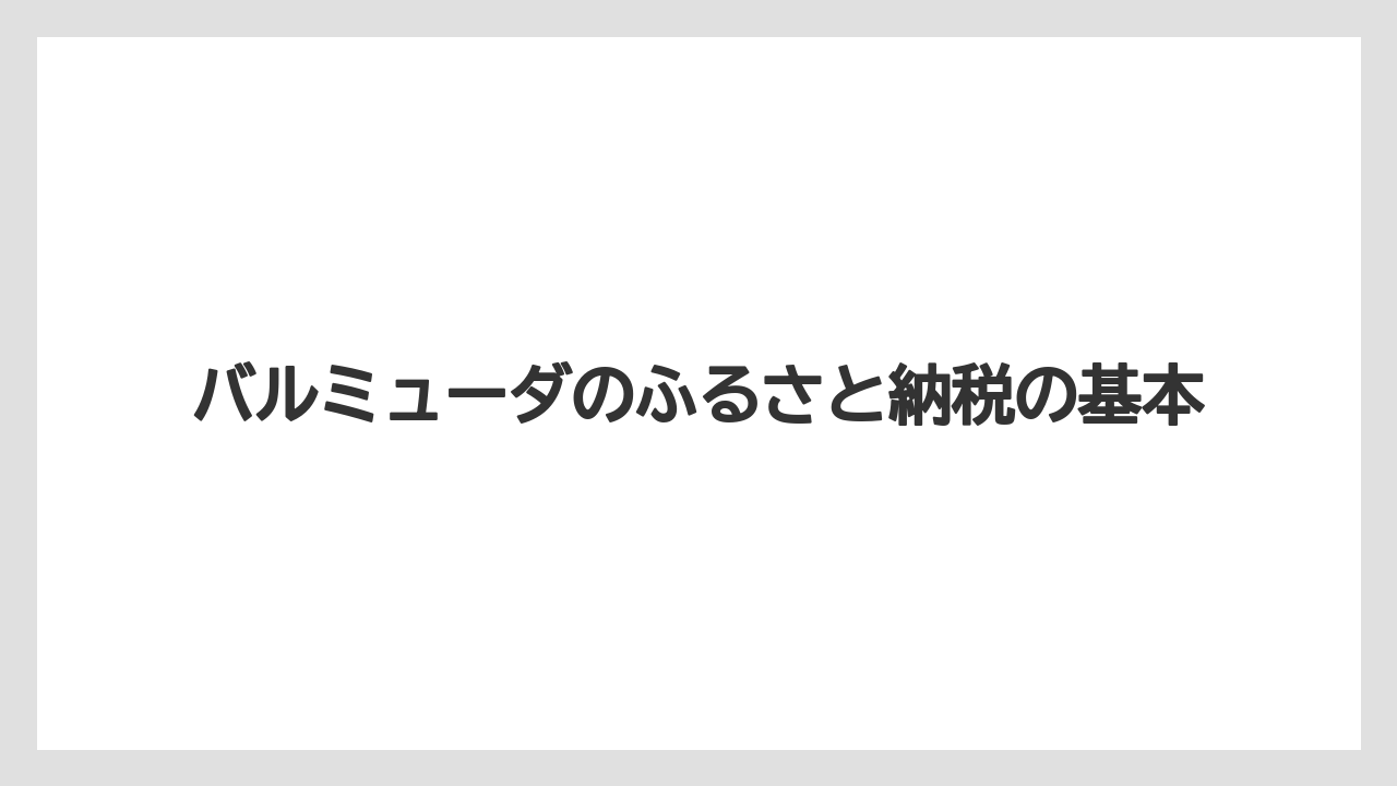 バルミューダのふるさと納税の基本