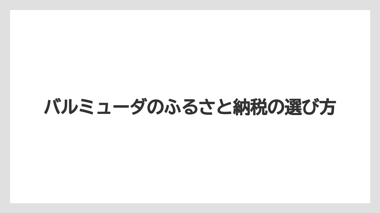 バルミューダのふるさと納税の選び方