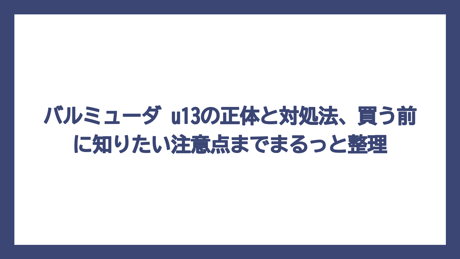 バルミューダ u13の正体と対処法、買う前に知りたい注意点までまるっと整理