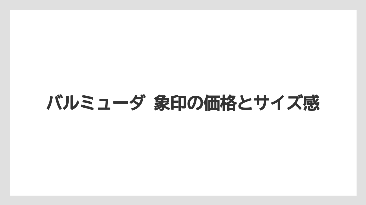 バルミューダ 象印の価格とサイズ感