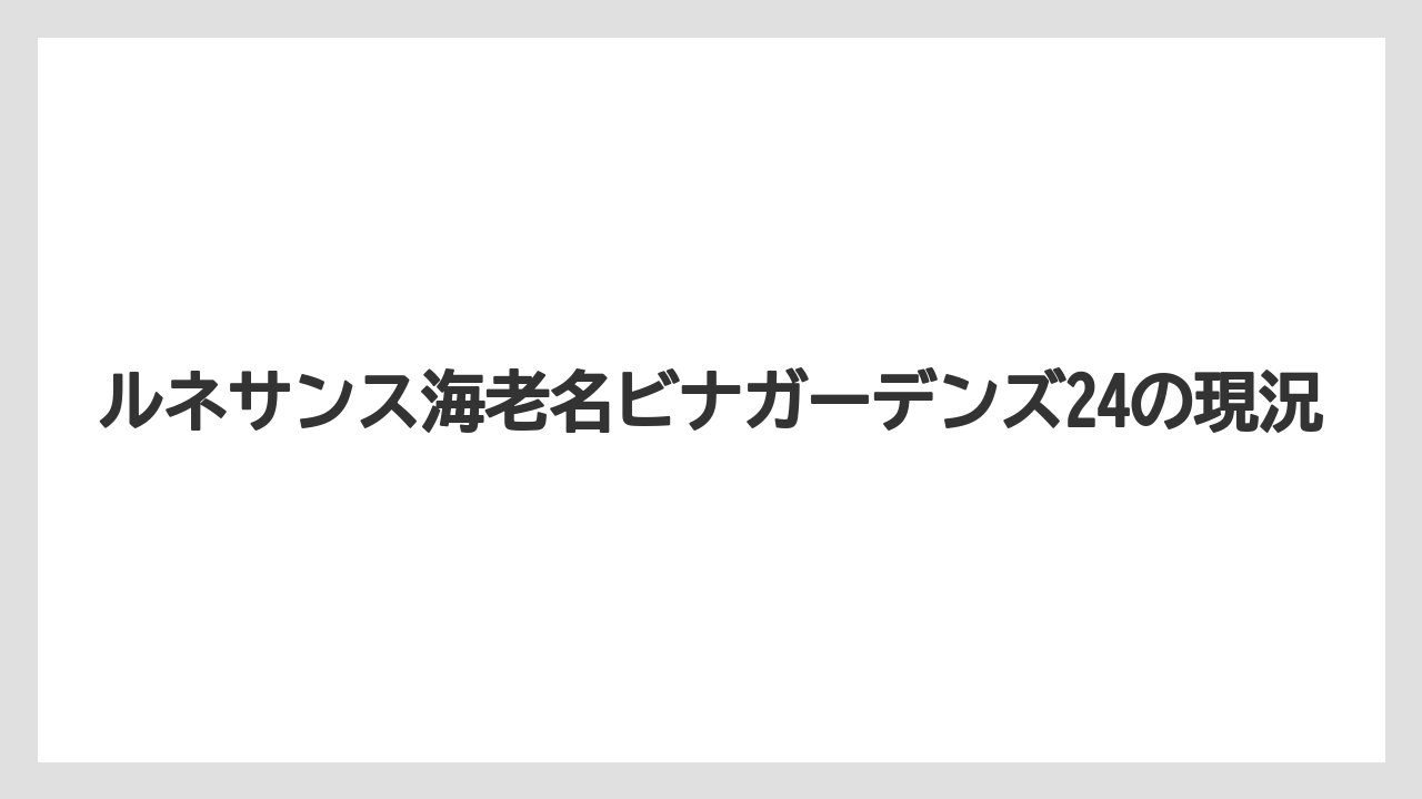 ルネサンス海老名ビナガーデンズ24の現況