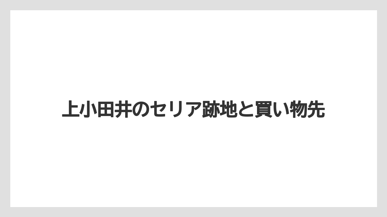 上小田井のセリア跡地と買い物先