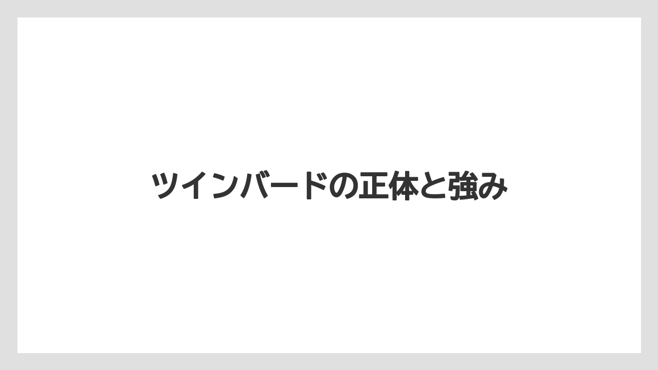 ツインバードの正体と強み