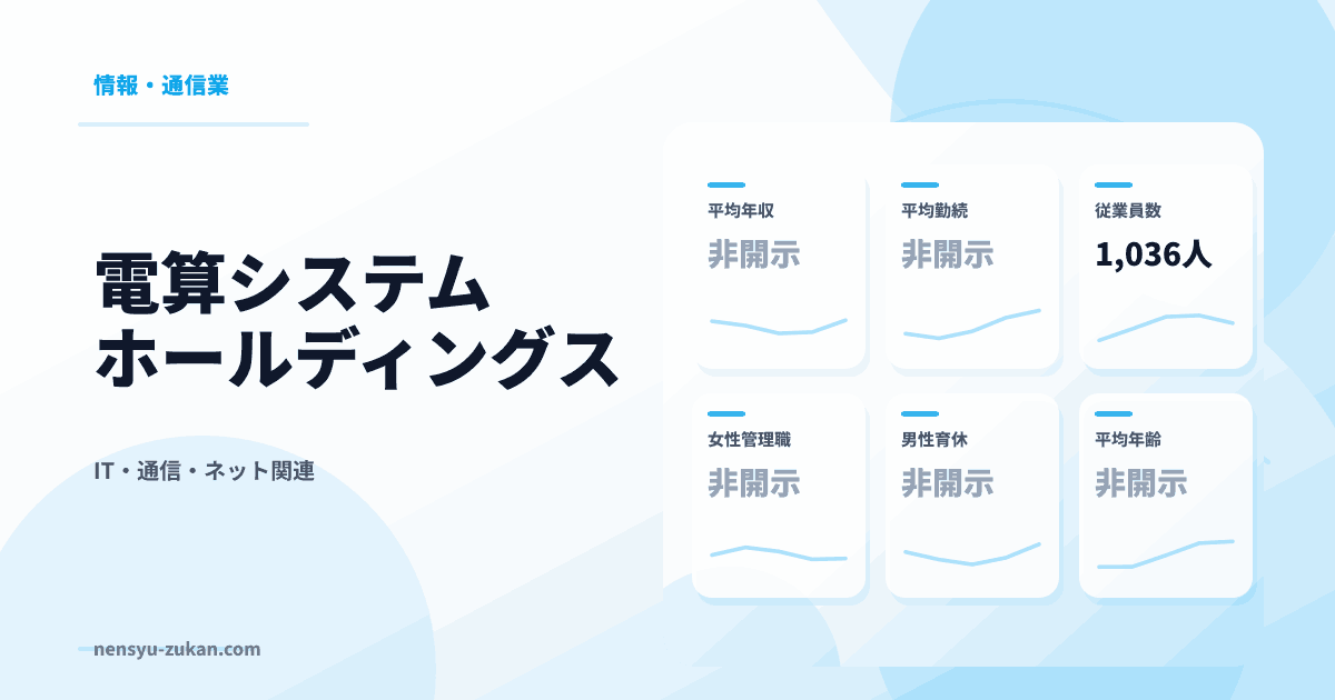 電算システムホールディングスの年収・働き方データ