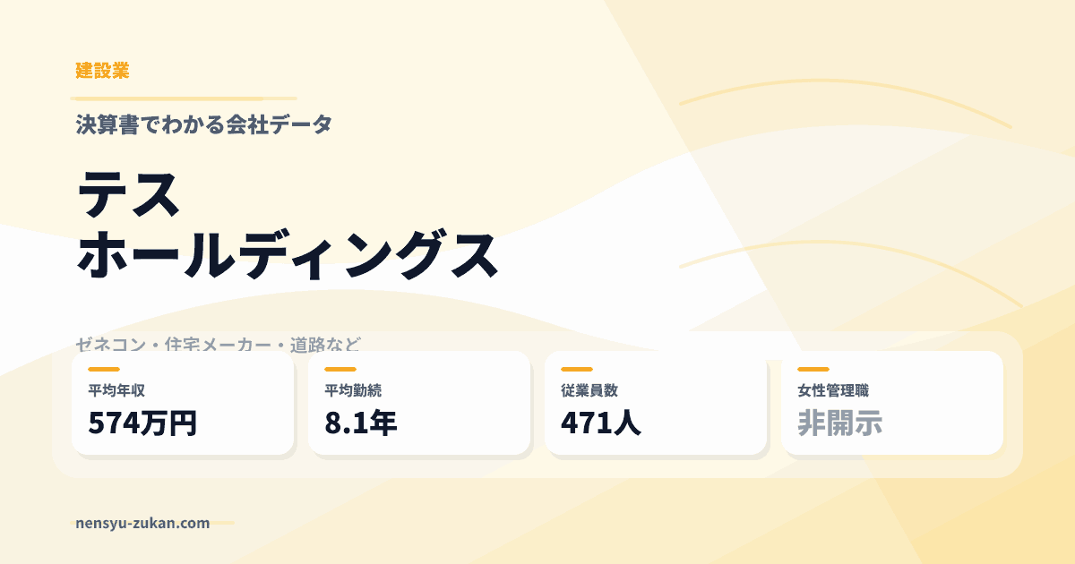 テスホールディングスの年収・働き方データ
