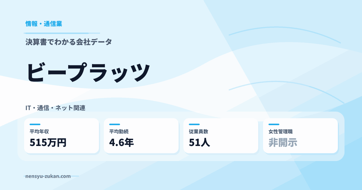ビープラッツの年収・働き方データ