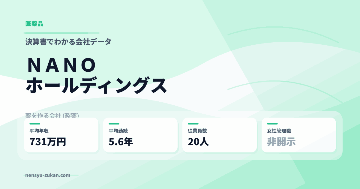 ＮＡＮＯホールディングスの年収・働き方データ