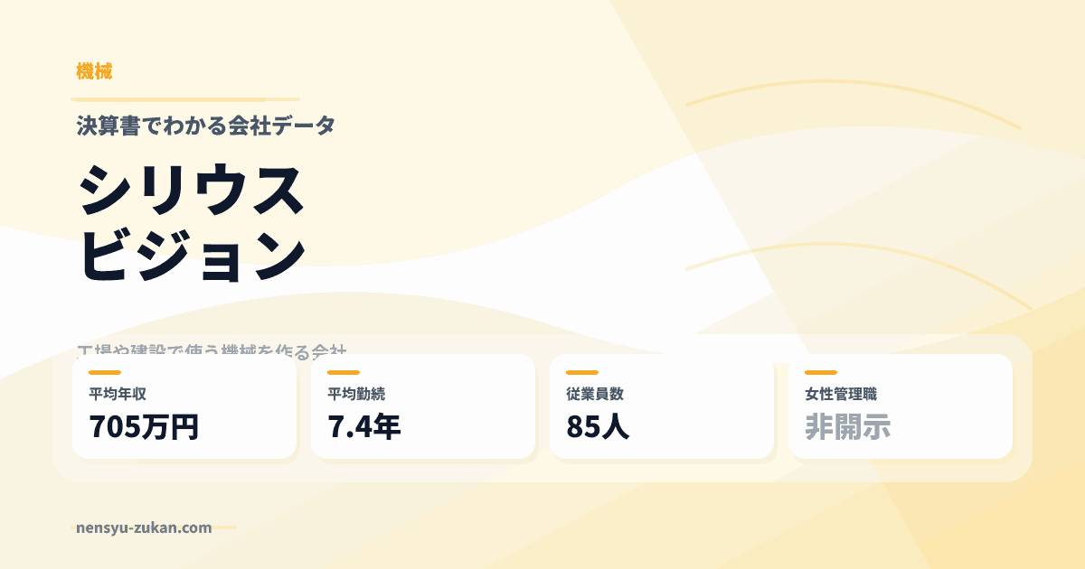 シリウスビジョンの年収・働き方データ