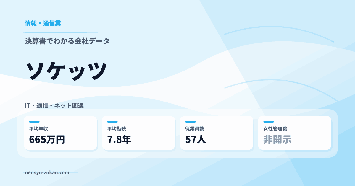 ソケッツの年収・働き方データ