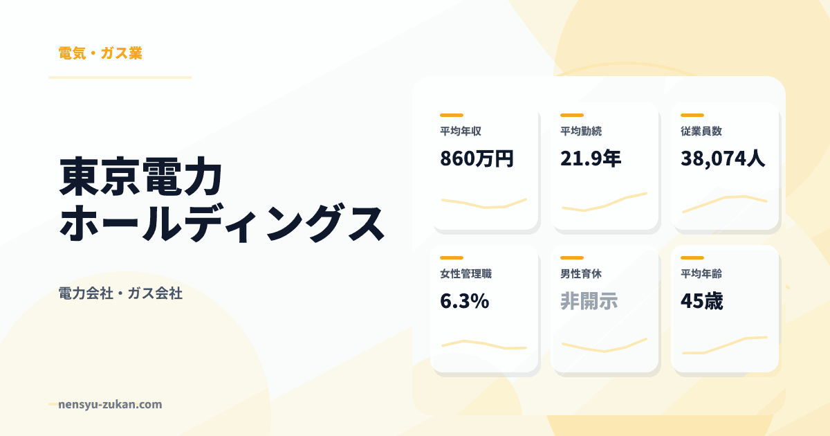 東京電力ホールディングスの年収・働き方データ