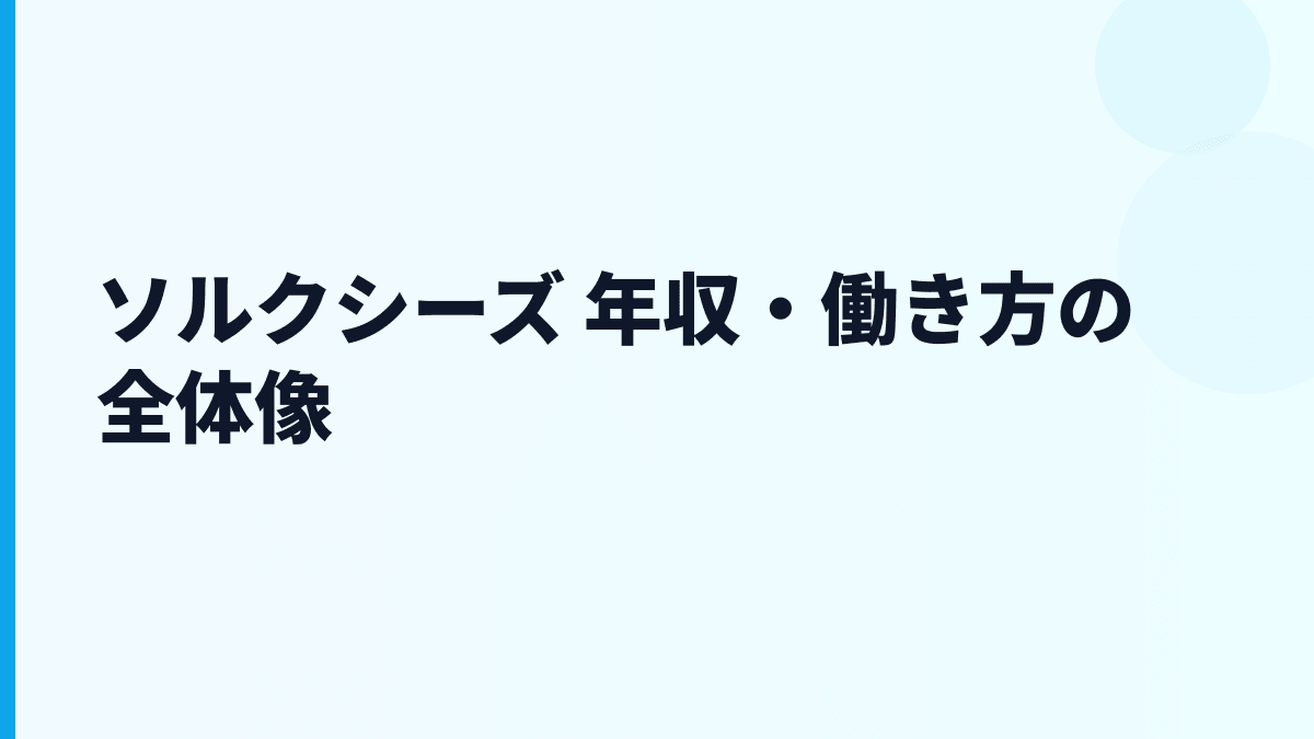 ソルクシーズ 年収・働き方の全体像