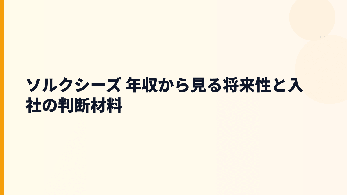 ソルクシーズ 年収から見る将来性と入社の判断材料