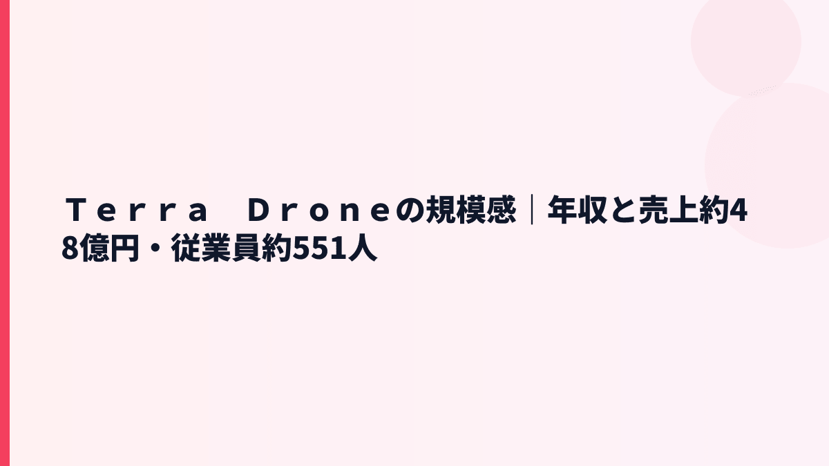 Ｔｅｒｒａ　Ｄｒｏｎｅの規模感｜年収と売上約48億円・従業員約551人